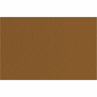 Fabriano Tiziano Pastel Paper 160g Caffe A4
