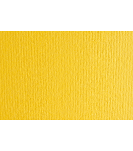 Papier Fabriano Elle Erre Cedro 220g 70x100 cm