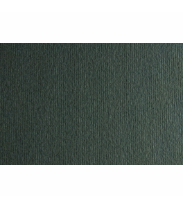 Fabriano Elle Erre Paper 220g Ferro A4