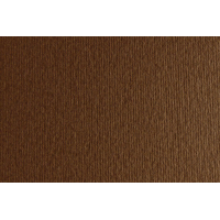Papier Fabriano Elle Erre 220g Marrone A4