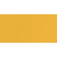 Papier do pasteli Fabriano Tiziano 160g Oro A4