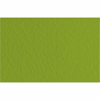 Fabriano Tiziano Pastel Paper 160g Pistacchio A4