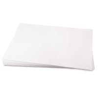 Fabriano ARENA Extra White Smooth Paper 250g 70x100 cm