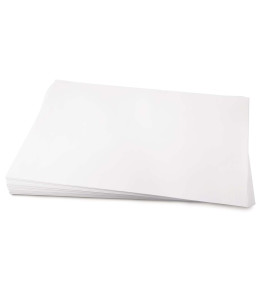 Fabriano ARENA Extra White Smooth Paper 300g 70x100 cm
