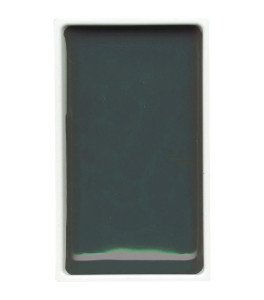 Watercolour paint Kuretake Gansai Tambi 506 Shadow Green
