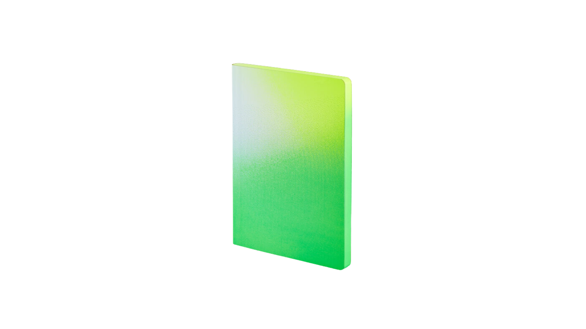 NUUNA Notebook Colour Clash L Light – Fresh