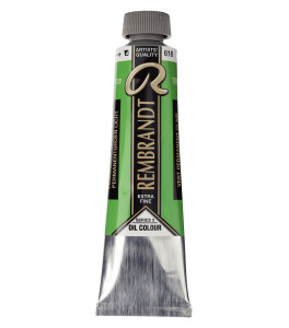 Rembrandt Oil Colour Tube 40 ml Permanent Green Light 618