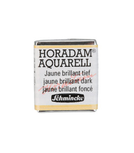 Watercolour paint Schmincke Horadam Aquarell jaune brilliant dark 5 ml. 221