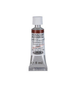 Watercolour paint Schmincke Horadam Aquarell maroon brown 5 ml. 651