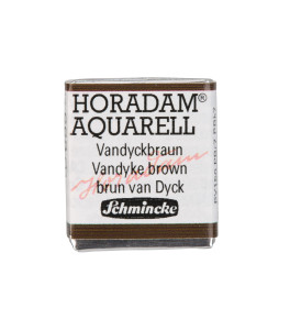Watercolour paint Schmincke Horadam Aquarell Vandyke brown 669