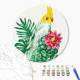 Malowanie po numerach Brushme Tropical Parrot 30 cm