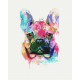Malowanie po numerach Brushme "Kolorowy buldog" 40x50 cm