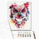 Malowanie po numerach Brushme "Sowa w farbach" 40x50 cm
