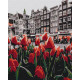 Malowanie po numerach Brushme "Tulipany Amsterdam" 40x50 cm