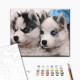 Malowanie po numerach Brushme "Szczenięta husky" 40x50 cm