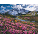 Malowanie po numerach Brushme "Łąka alpejska" 40x50 cm
