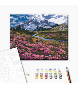 Malowanie po numerach Brushme "Łąka alpejska" 40x50 cm