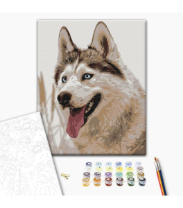 Painting by numbers Brushme "Wolf" 40x50 cm