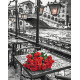 Malowanie po numerach Brushme "Róże w deszczu" 40x50 cm