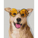 Malowanie po numerach Brushme "Corgi hipster" 40x50 cm