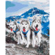 Malowanie po numerach Brushme "Przyjaciele husky" 40x50 cm