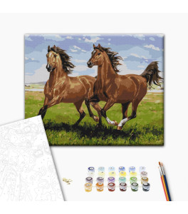 Painting by numbers Brushme "Horses on a run" 40x50 cm