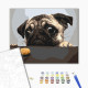 Malowanie po numerach Brushme "Mops" 40x50 cm