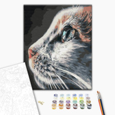 Painting by numbers Brushme Cat Profile 40x50 cm