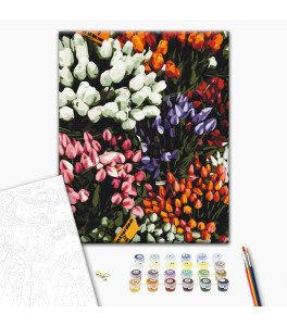 Malowanie po numerach Brushme "Targi tulipanów" 40x50 cm