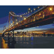 Malowanie po numerach Brushme "San Francisco w nocy" 40x50 cm