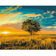 Malowanie po numerach Brushme "Złoty zachód słońca" 40x50 cm