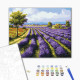 Malowanie po numerach Brushme "Pola lawendy" 40x50 cm