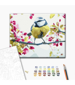 Malowanie po numerach Brushme "Wiosenna sikorka" 40x50 cm