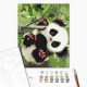 Malowanie po numerach Brushme "Zabawny panda" 40x50 cm