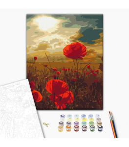 Malowanie po numerach Brushme "Maki pod palącym słońcem" 40x50 cm