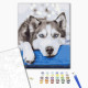 Malowanie po numerach Brushme "Husky w oczekiwaniu" 40x50 cm