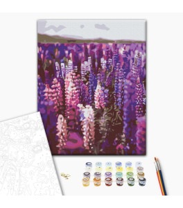 Malowanie po numerach Brushme "Lawenda" 40x50 cm