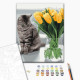 Malowanie po numerach Brushme "Kot z tulipanami" 40x50 cm