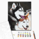 Malowanie po numerach Brushme "Husky" 40x50 cm