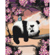 Malowanie po numerach Brushme "Senny panda" 40x50 cm