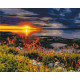 Malowanie po numerach Brushme "Nienaruszona natura" 40x50 cm