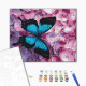 Malowanie po numerach Brushme "Motyl na kwiatach" 40x50 cm