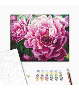 Painting by numbers Brushme "Luxurious peonies" 40x50 cm
