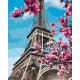 Malowanie po numerach Brushme "Kwiat magnolii w Paryżu" 40x50 cm