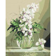 Malowanie po numerach Brushme "Orchidee w wazonie" 40x50 cm