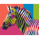 Malowanie po numerach Brushme "Tęczowa zebra" 40x50 cm