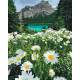 Painting by numbers Brushme "Daisies by the mountains" 40x50 cm