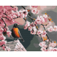 Malowanie po numerach Brushme "Dzięcioł i sakura" 40x50 cm