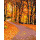 Malowanie po numerach Brushme "Park Jesienny" 40x50 cm