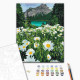 Painting by numbers Brushme "Daisies by the mountains" 40x50 cm